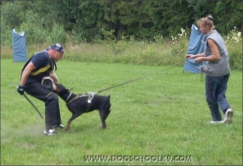 Summer training camp in Estonia 2007